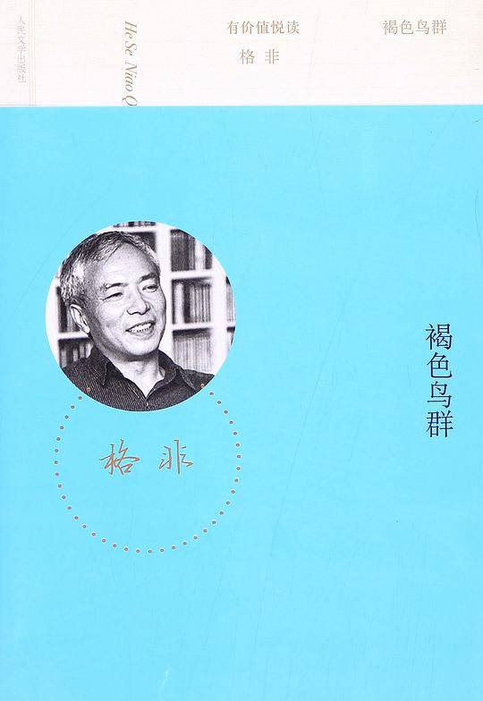 褐色鸟群