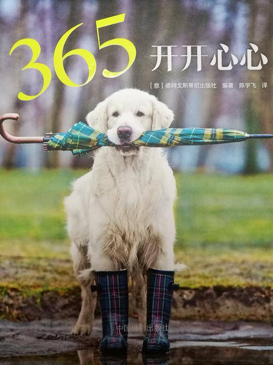 365开开心心