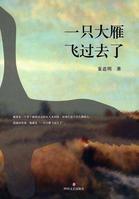 一只大雁飞过去了