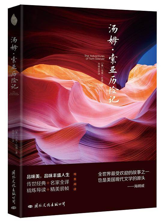 汤姆·索亚历险记