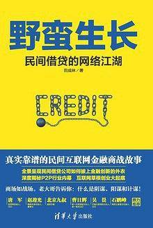 野蛮生长：民间借贷的网络江湖