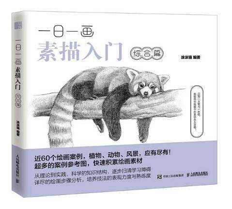 一日一画素描入门：综合篇