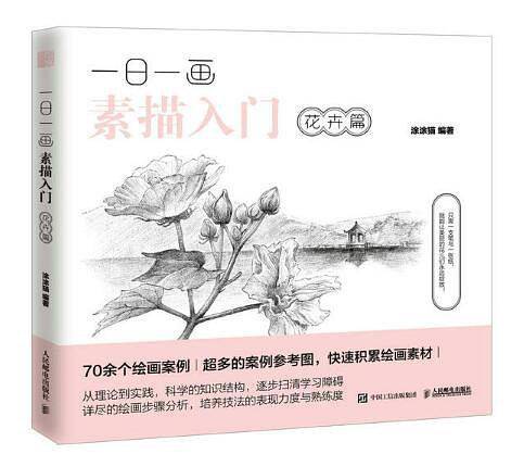 一日一画素描入门：花卉篇