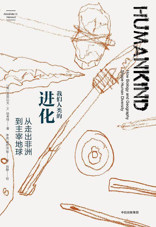 我们人类的进化