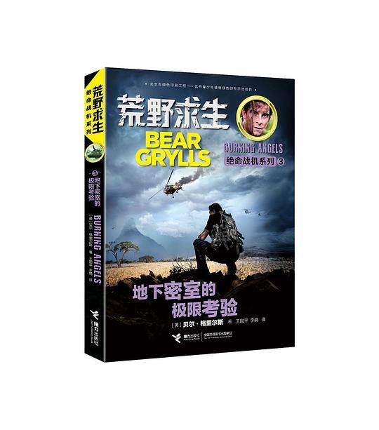 荒野求生绝命战机系列
