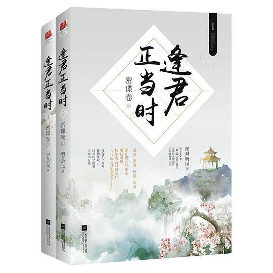 逢君正当时Ⅰ・密谍卷