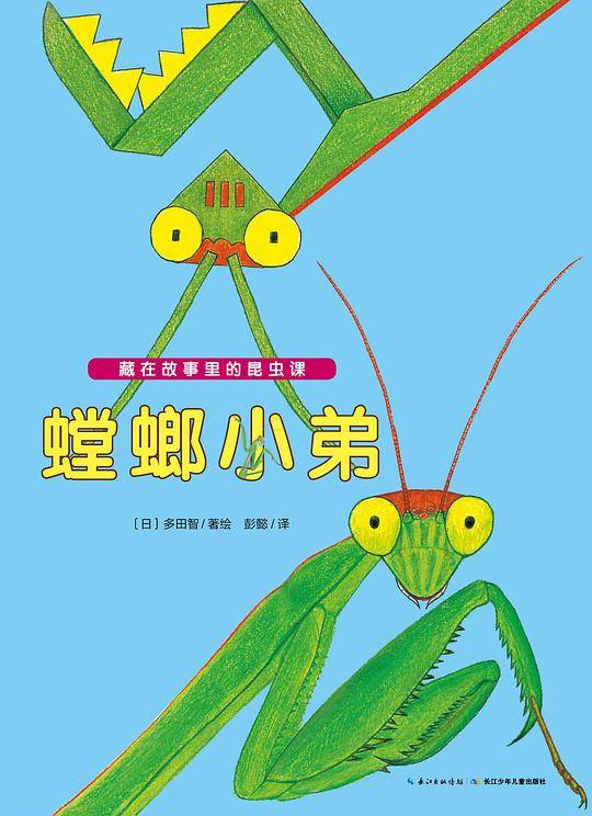 藏在故事里的昆虫课：螳螂小弟