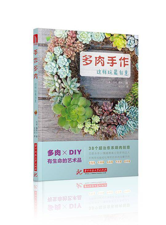 多肉手作，这样玩最创意！