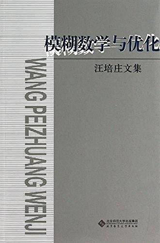 模糊数学与优化