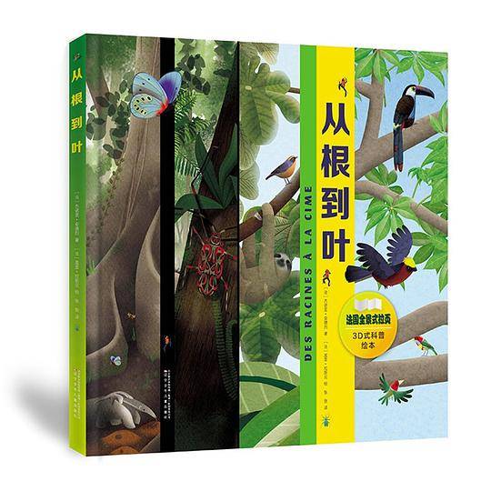 从根到叶