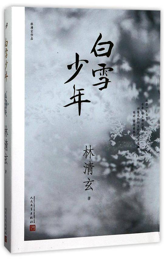 林清玄作品：白雪少年