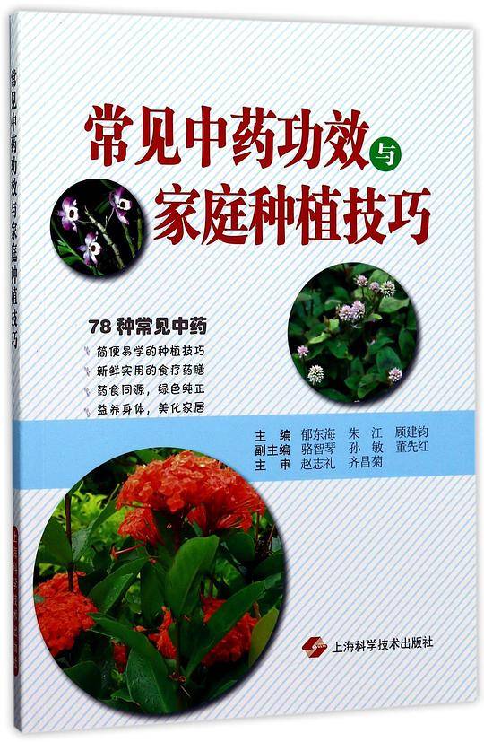 常见中药功效与家庭种植技巧