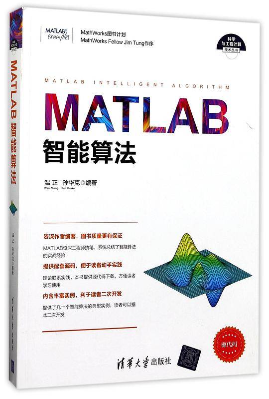 MATLAB智能算法