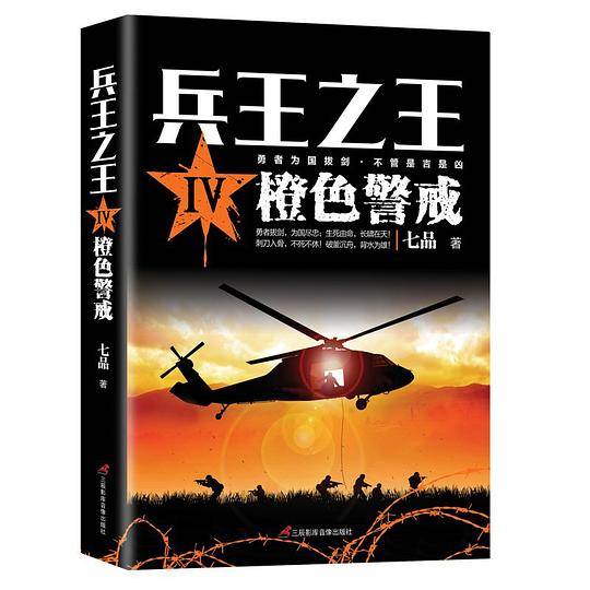 兵王之王4