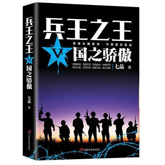 兵王之王5