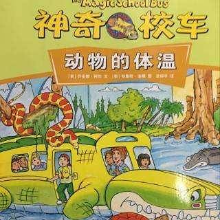 神奇校车（动画版）