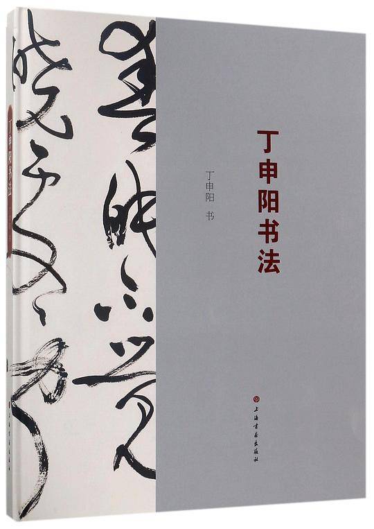 丁申阳书法