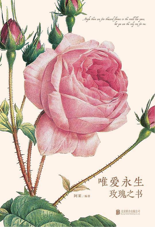 唯爱永生(玫瑰之书)(精)