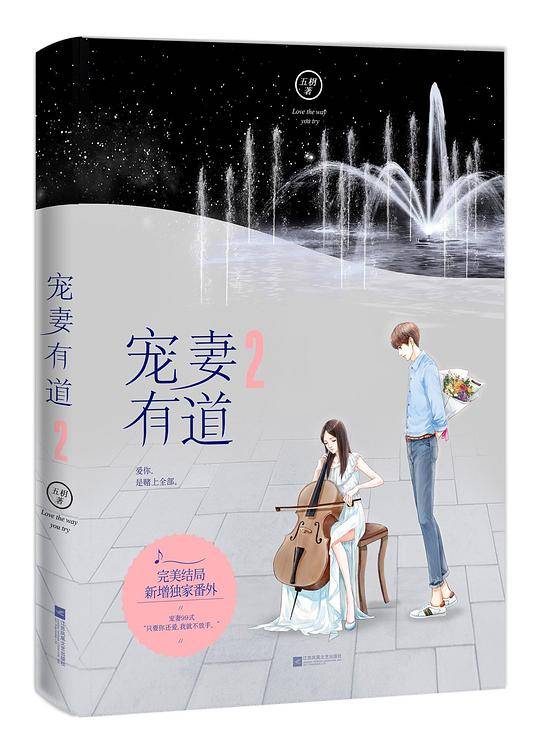 宠妻有道2