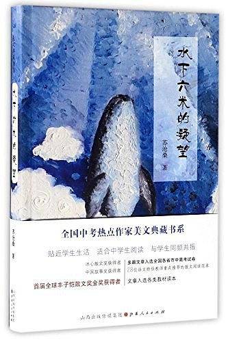 水下六米的凝望