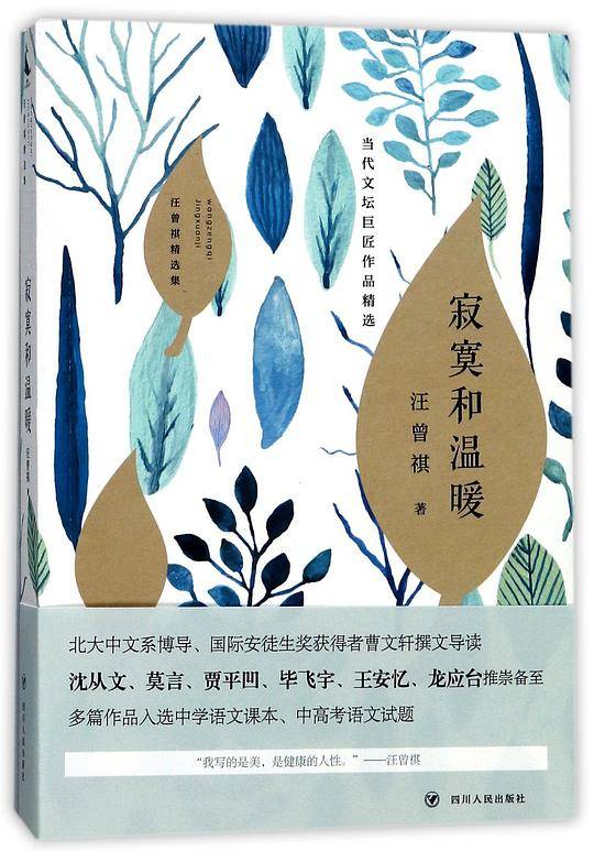 寂寞和温暖(汪曾祺精选集)