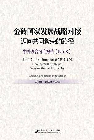 金砖国家发展战略对接：迈向共同繁荣的路径
