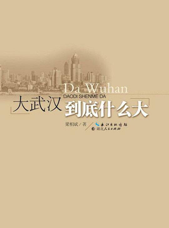 大武汉到底什么大