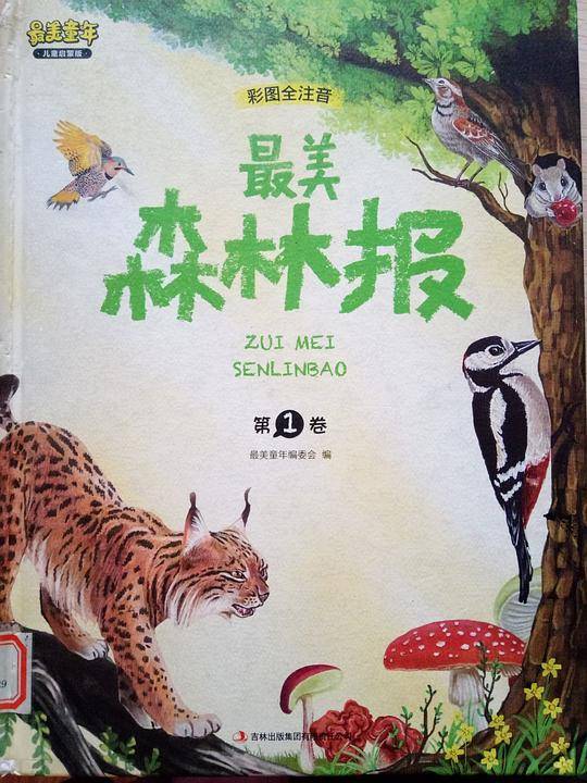 最美森林报