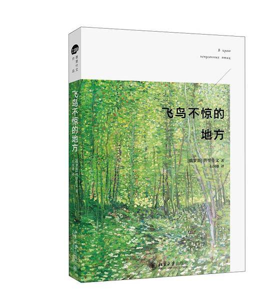 飞鸟不惊的地方