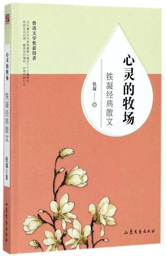 铁凝经典散文