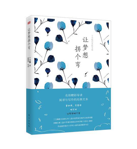 让梦想拐个弯(丁立梅经典散文集)