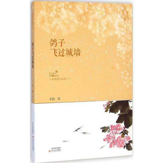 鸽子飞过城墙