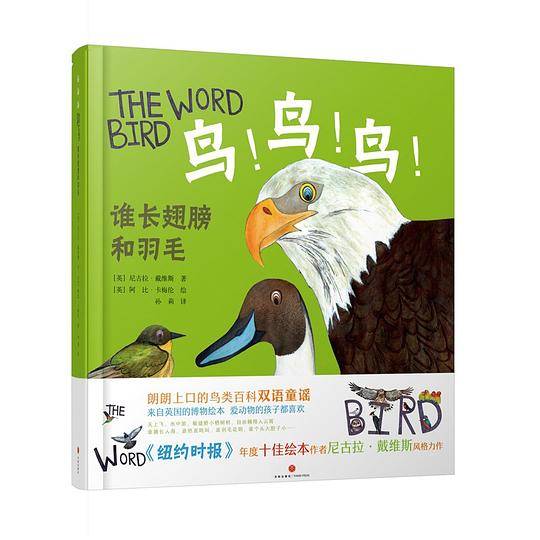 鸟！鸟！鸟！谁长翅膀和羽毛