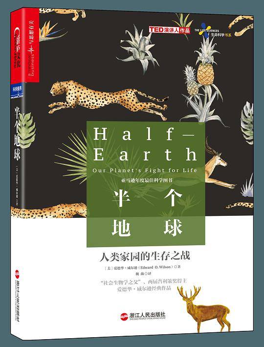 半个地球
