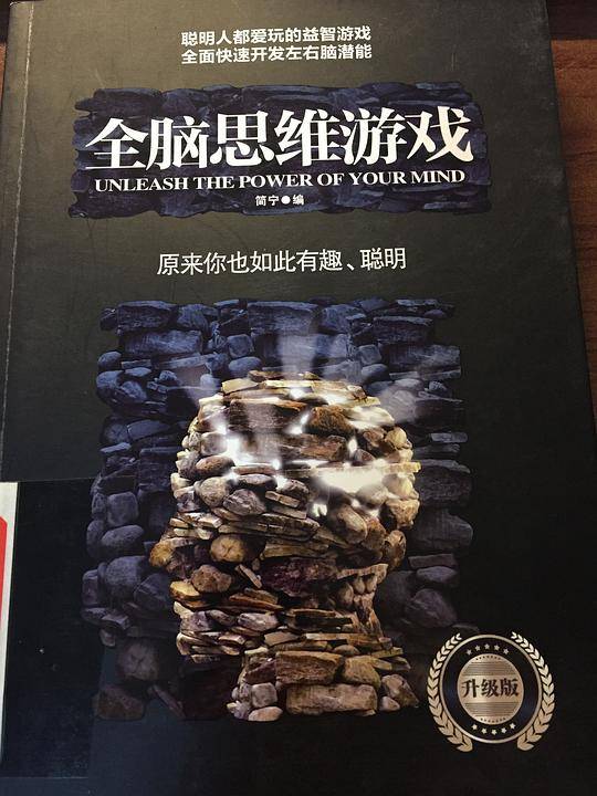 全脑思维游戏