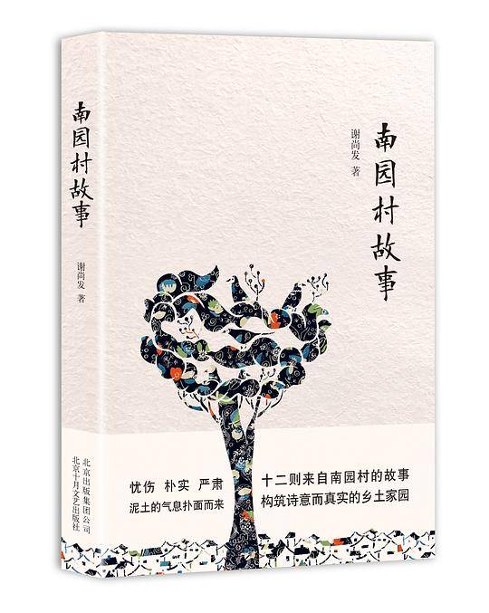 南园村故事