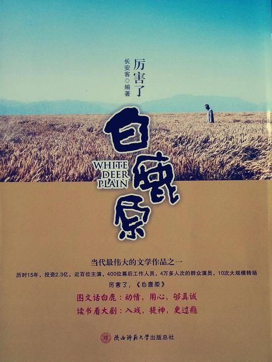 厉害了,《白鹿原》