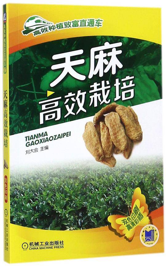 天麻高效栽培/高效种植致富直通车