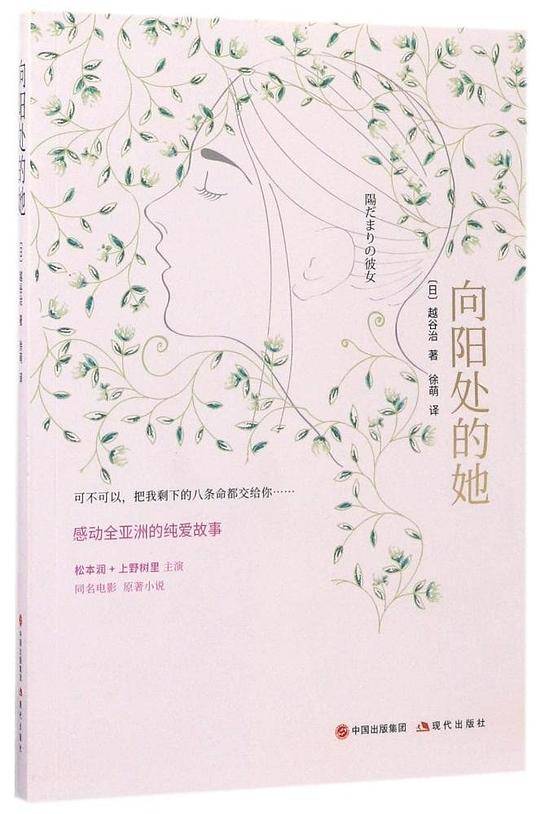 向阳处的谎言