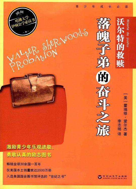 沃尔特的救赎：落魄子弟的奋斗之旅