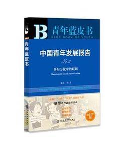 青年蓝皮书:中国青年发展报告NO.3