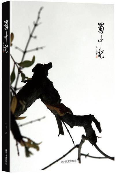 蜀中记