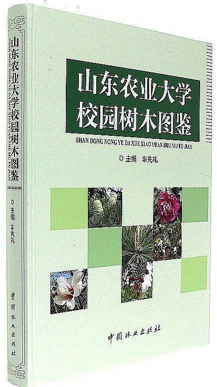 山东农业大学校园树木图鉴