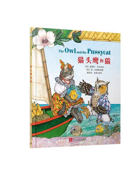 猫头鹰和猫