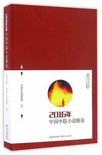 2016年中国中篇小说精选