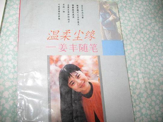 温柔尘缘