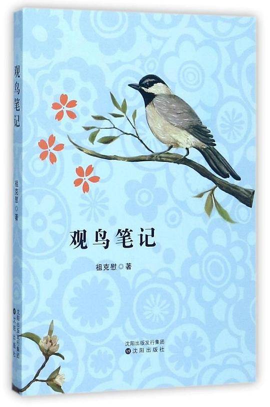 观鸟笔记