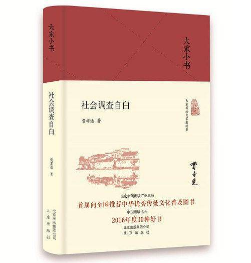 大家小书：社会调查自白