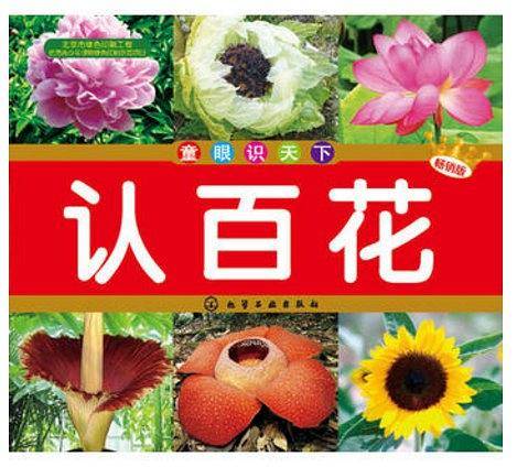 童眼识天下--认百花