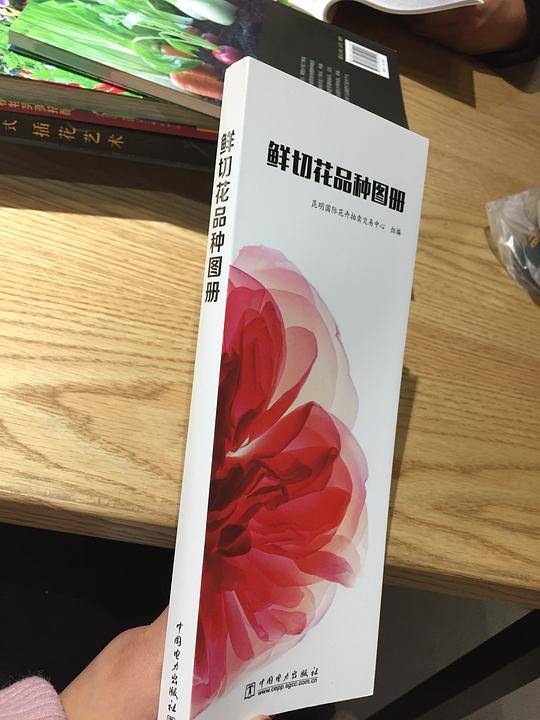 鲜切花品种图册